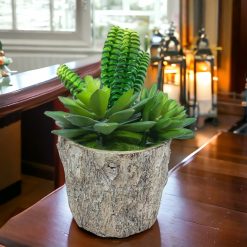 Alternative view of Artificial Succulent Plants in Ceramic Pot 14575