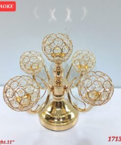 IMG 20240811 WA0093 247x296