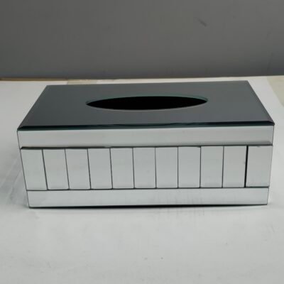 Silver Mirror Segmented Tissue Box Cove