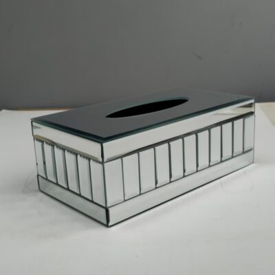 Luxury Silver Mirror Segmented Tissue Box Cove Silver Mirror Segmented Tissue Box Cove